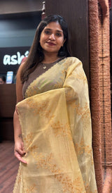 TISSUE ORGANZA SAREE 1209254