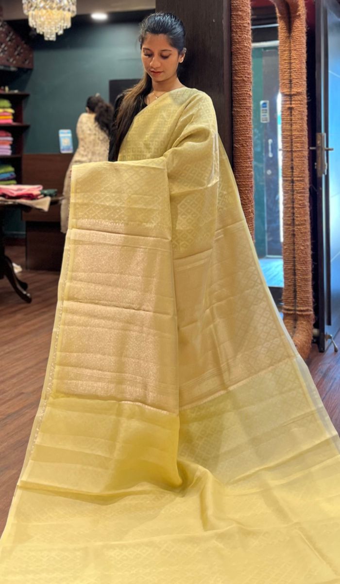 ORGANZA SAREE 13072523