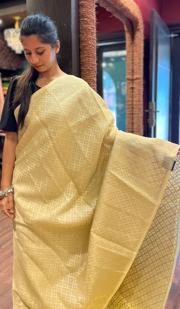 ORGANZA SAREE 13072523