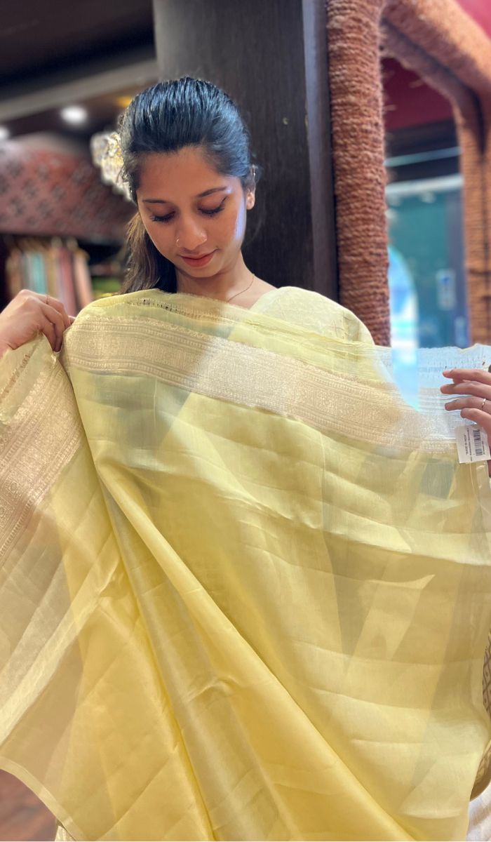 ORGANZA SAREE 13072523