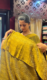 KANTHA SAREE 31102533