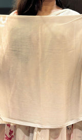 CHIFFON SAREE 25112512