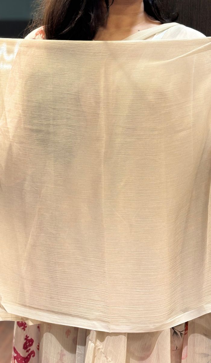 CHIFFON SAREE 25112512