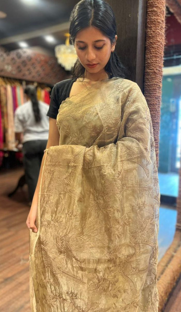 TISSUE ORGANZA SAREE 11122532