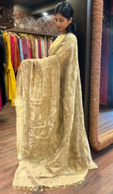 TISSUE ORGANZA SAREE 11122532