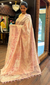 TISSUE ORGANZA SAREE 17122516