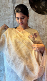 ORGANZA SAREE 1201261