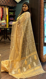 ORGANZA SAREE 23012638