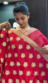 ORGANZA SAREE 23012647