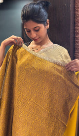 TISSUE CREPE SAREE 23012655