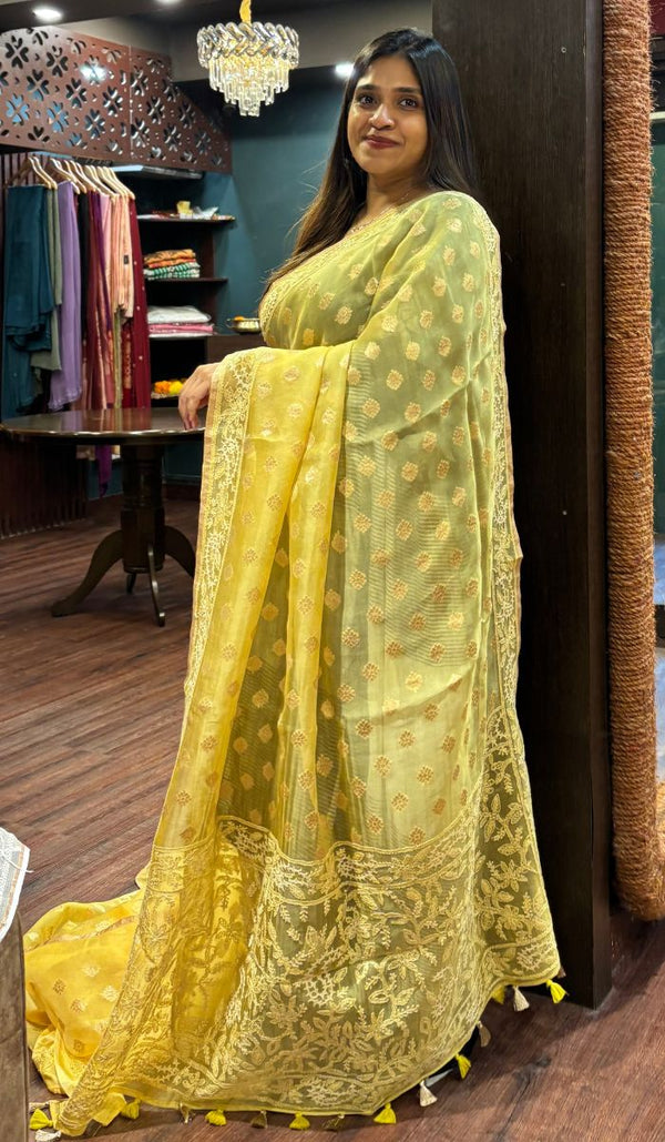 ORGANZA SAREE 1605252