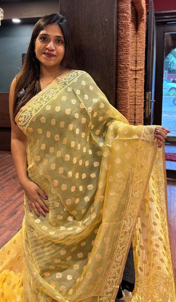 ORGANZA SAREE 1605252