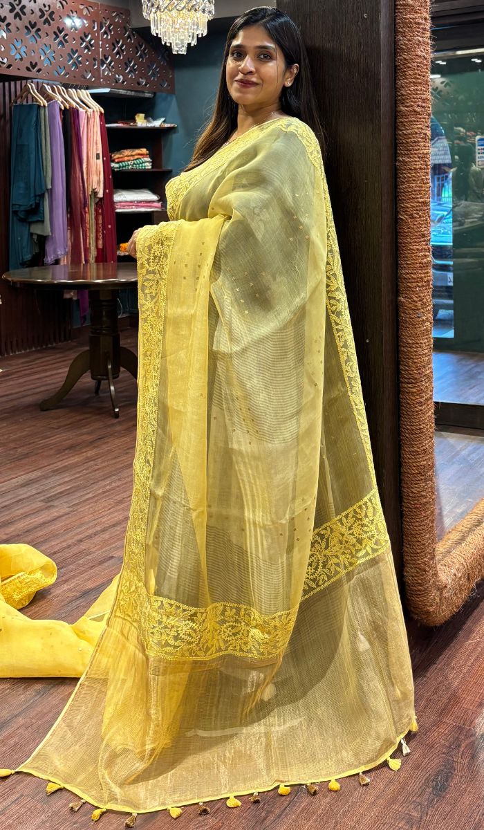 ORGANZA SAREE 0106253