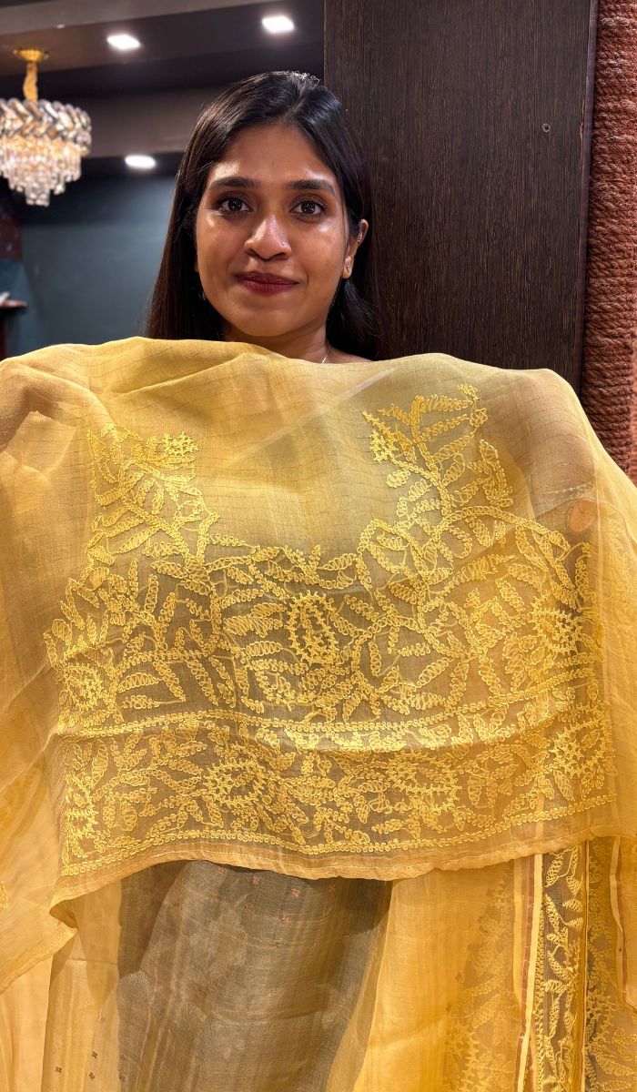 ORGANZA SAREE 0106253