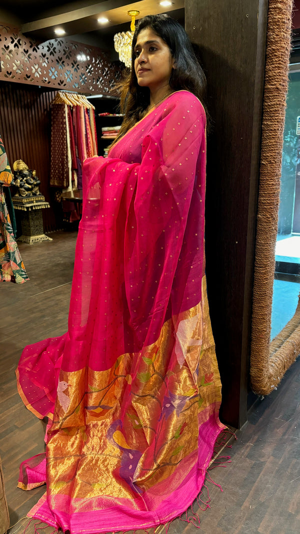 ORGANZA SAREE SSW SA 25102421