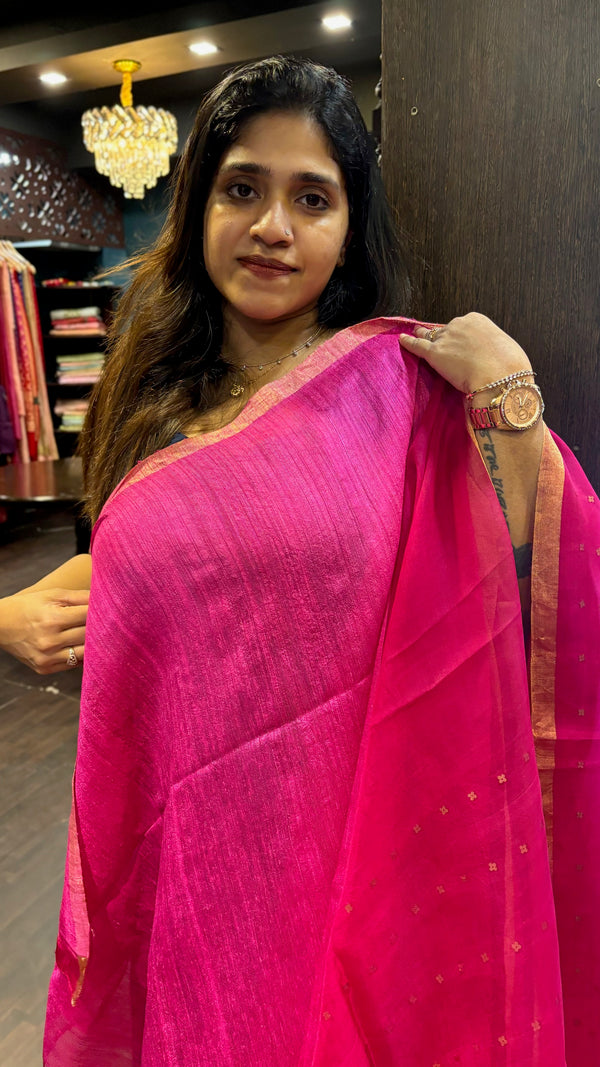 ORGANZA SAREE SSW SA 25102421