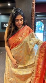 MOONGA TUSSAR SAREE VJDS SA 17032443