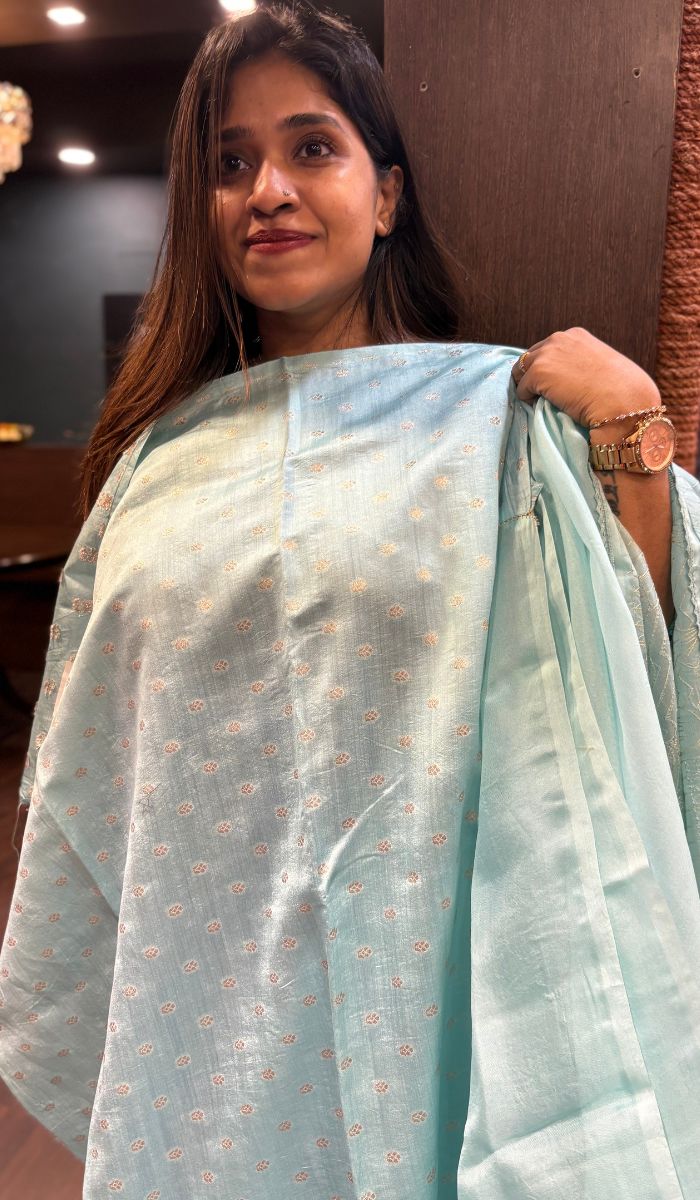 ORGANZA SAREE 08042555