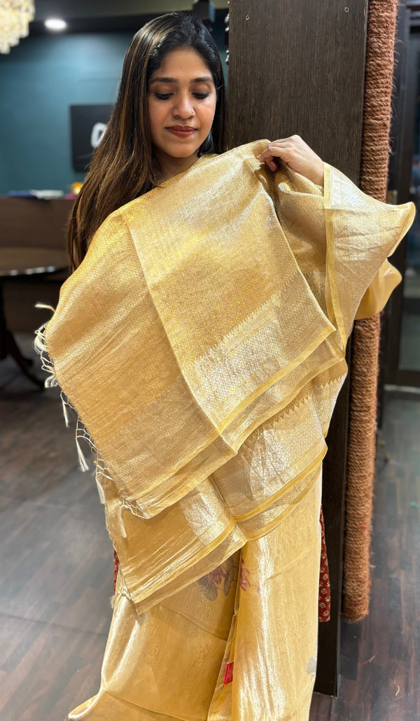 TISSUE LINEN SAREE 0801258