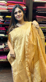 CRUSHED ORGANZA SAREE 0712249