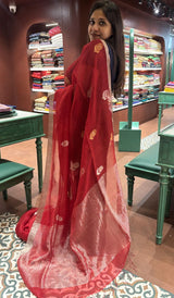 KORA ORGANZA SAREE 260126140