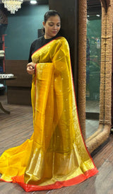 ORGANZA SAREE 19092612