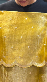 TISSUE ORGANZA SAREE 22062645