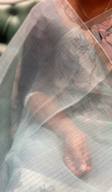 ORGANZA SAREE 3001265