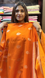 TISSUE ORGANZA SAREE 23102646