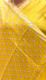 TISSUE SAREE 23012669