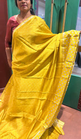 TISSUE SAREE 23012669