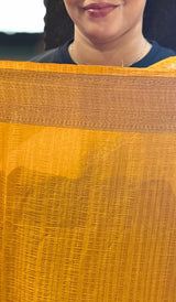 SEMI GEORGETTE SAREE 300126118