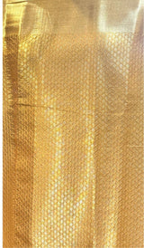 SEMI TISSUE SAREE 0202253