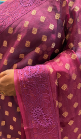 ORGANZA SAREE 25062627
