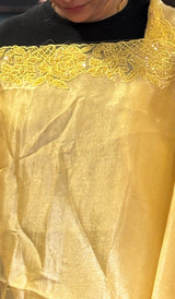 TISSUE ORGANZA SAREE 2810266