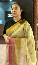 ORGANZA SAREE 2009263