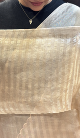 TISSUE ORGANZA SAREE 22062639