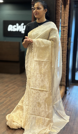 TISSUE ORGANZA SAREE 22062639