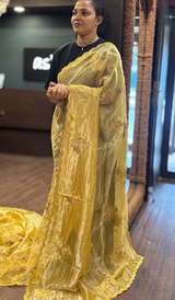 TISSUE ORGANZA SAREE 22062649