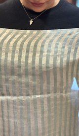 TISSUE ORGANZA SAREE 22062637