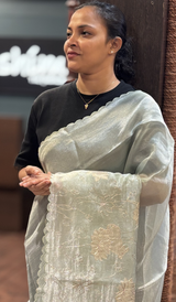 TISSUE ORGANZA SAREE 22062637