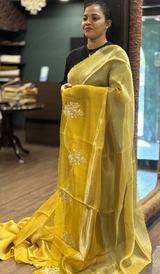 TISSUE ORGANZA SAREE 22062633