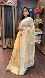 Organza saree 14617